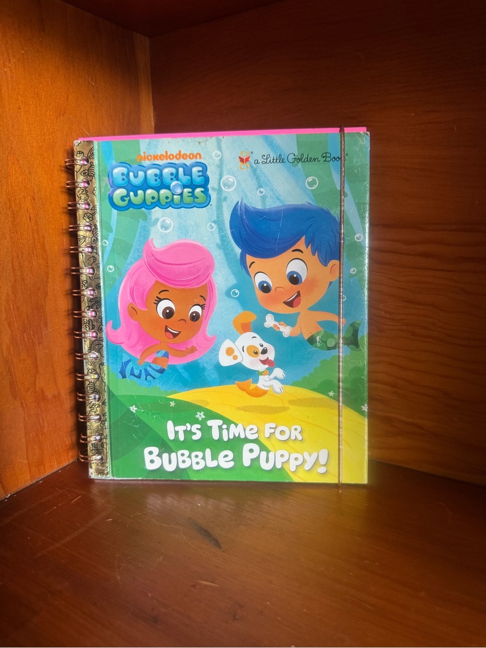 Nickelodeon Bubble Guppies Kids Swim Notebook - Pink & Blue